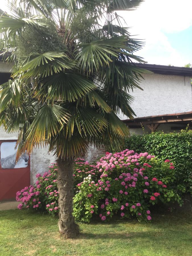 Notti Al Torre - Colazione In Camera San Vito al Torre Екстериор снимка